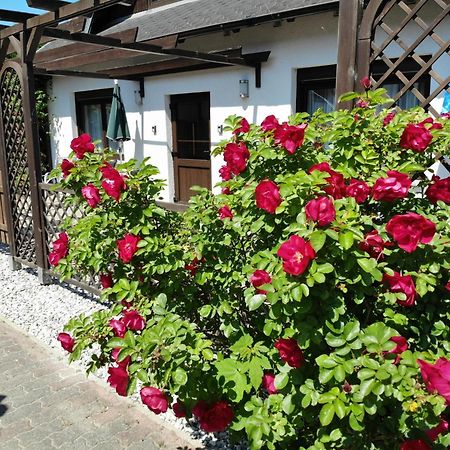 Sellin  Ferienhaus Kress Links מראה חיצוני תמונה
