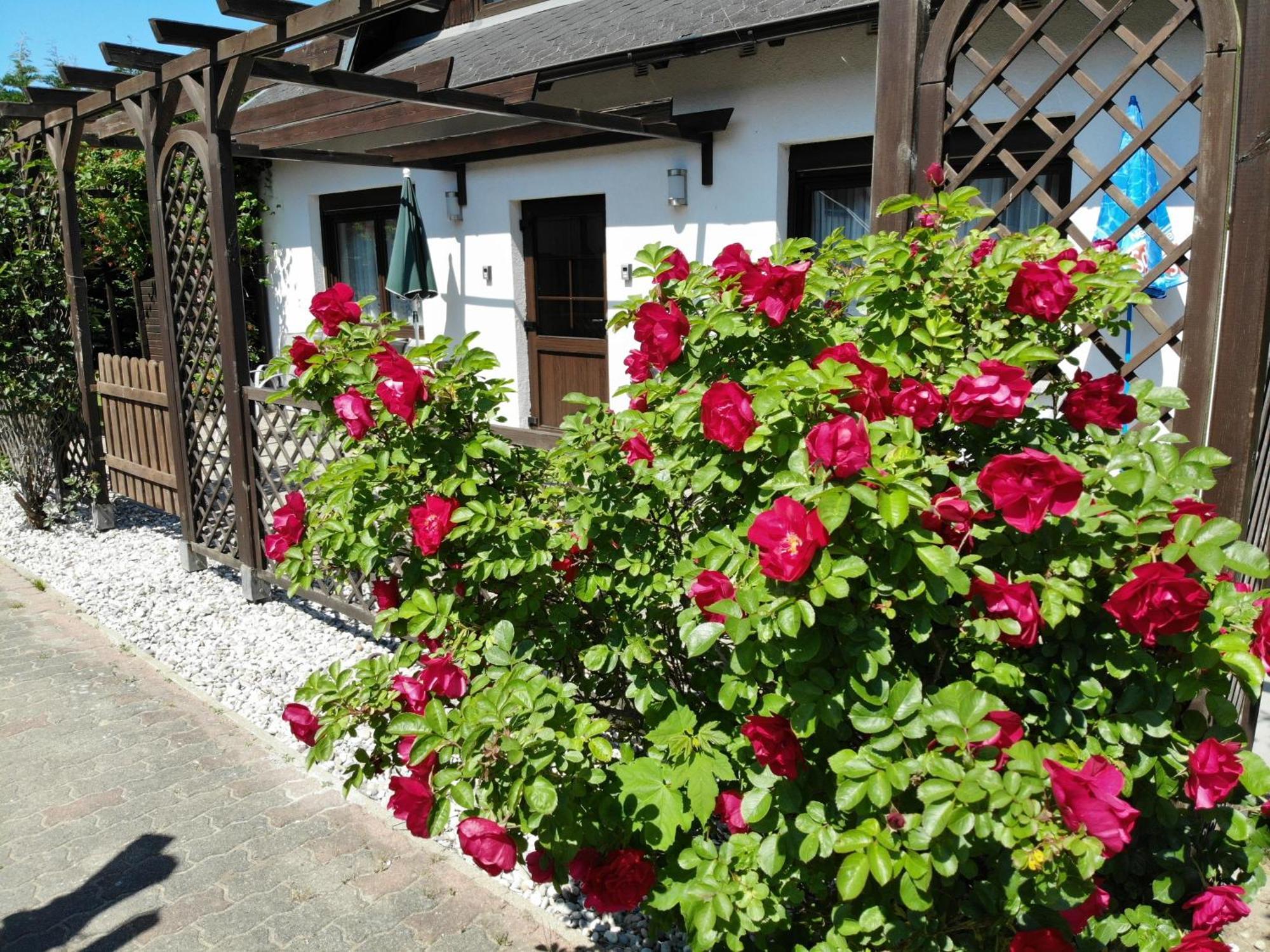 Sellin  Ferienhaus Kress Links מראה חיצוני תמונה